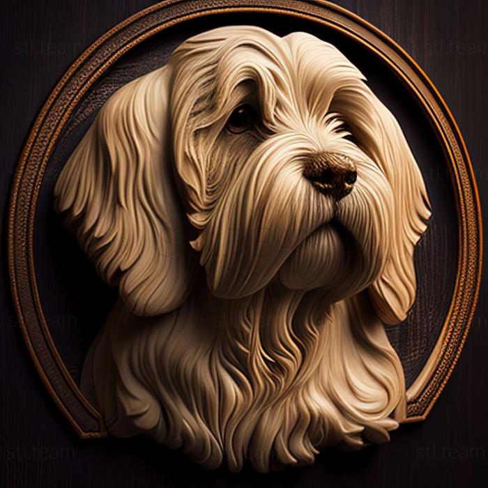 Tibetan Terrier dog